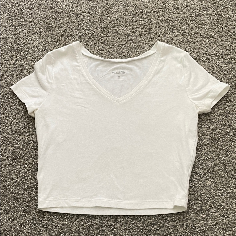 Wild Fable V-Neck Crop Top